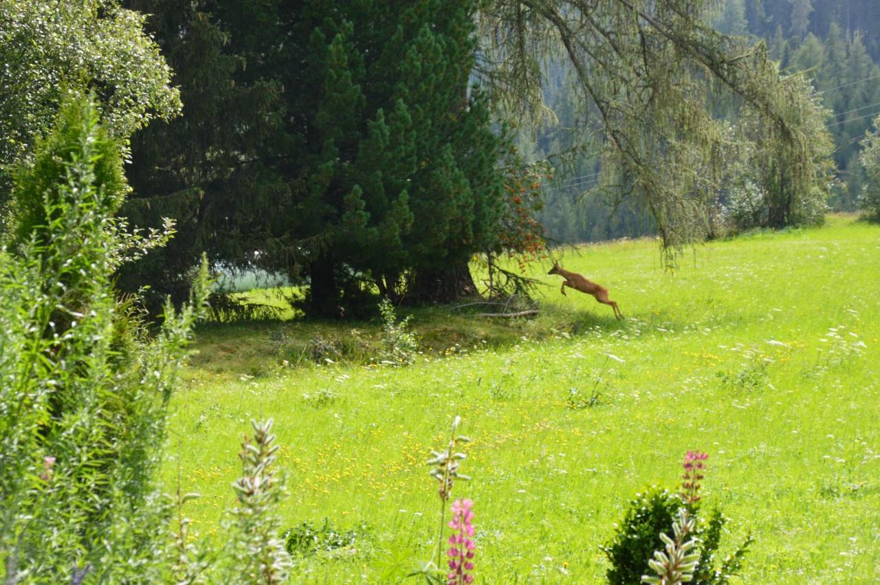 Landhaus Kaulfuss Sankt Jakob in Defereggen Exteriör bild